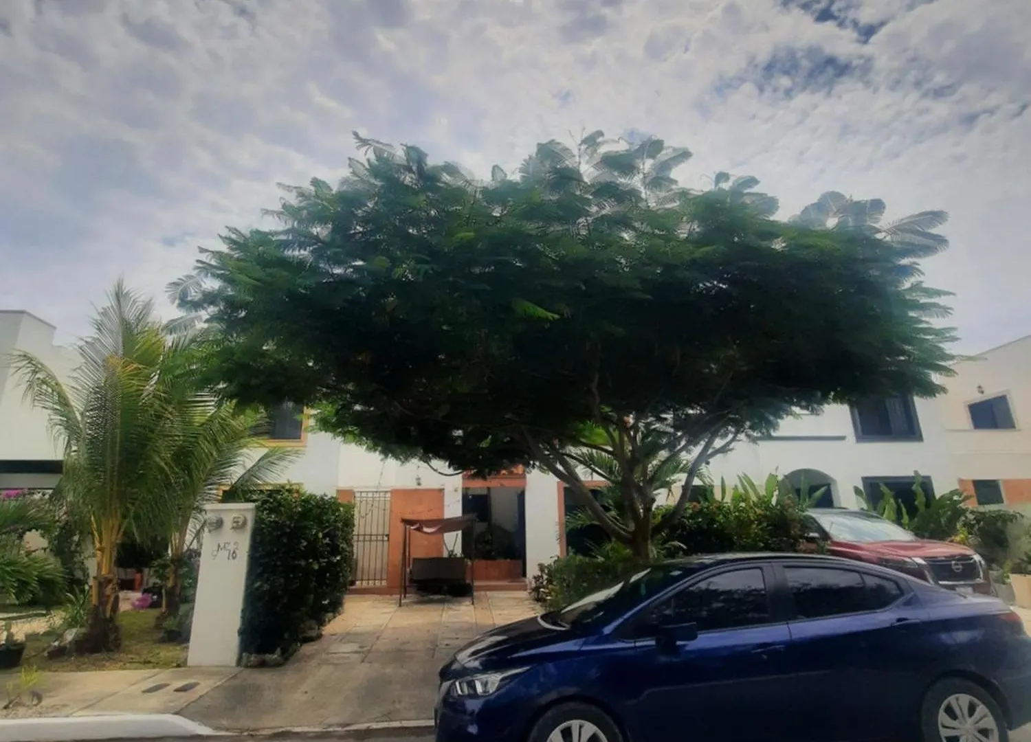 Guest house M&M Studio Hotel Playa del Carmen